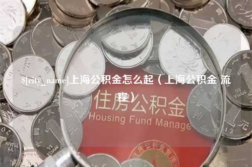 咸宁上海公积金怎么起（上海公积金 流程）